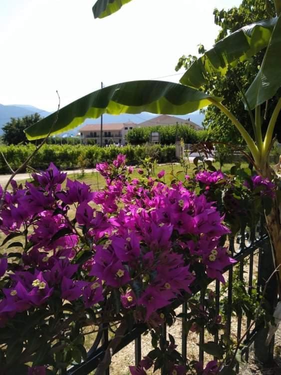Rosegarden Βίλα Σάμη Εξωτερικό φωτογραφία