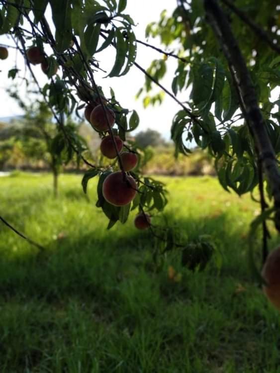 Rosegarden Βίλα Σάμη Εξωτερικό φωτογραφία
