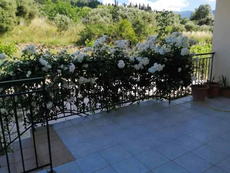 Rosegarden Βίλα Σάμη Εξωτερικό φωτογραφία