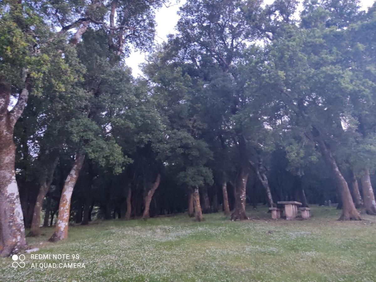 Rosegarden Βίλα Σάμη Εξωτερικό φωτογραφία