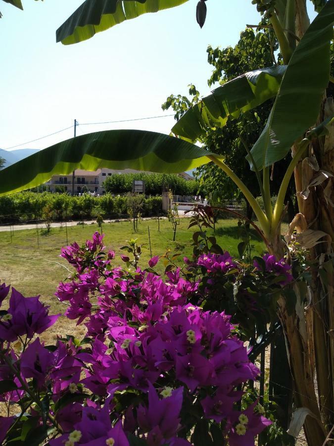 Rosegarden Βίλα Σάμη Εξωτερικό φωτογραφία